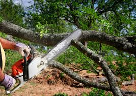 Leaf Removal in Woodfin, NC